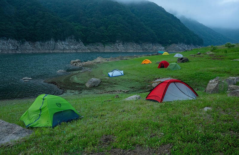 Camping Trips