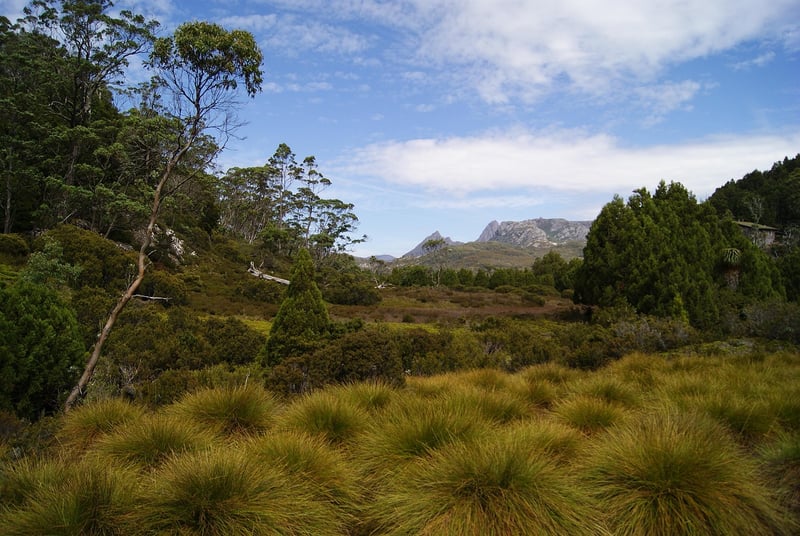 Overland Track